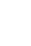 Blaze logo icon
